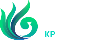 鲲鹏生物 – 创新多肽生物合成技术践行者